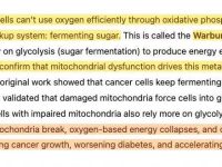 你的线粒体决定你的寿命长短