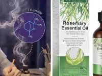 接触迷迭香精油的香气可以显著提升记忆力