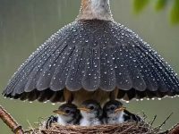 父母最深的觉悟