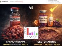 维生素C+葡萄籽提取物更能有效缩小癌性肿瘤