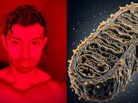 红光疗法是终极抗衰老秘诀