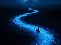 唯有读书和赚钱，才是一个人最好的修行