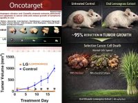 柠檬草和蒲公英根提取物都能在实验室中消除人类癌细胞