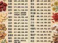 中药小白必存!37味常见中药一图速查