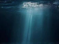 人这一生，90%的事儿不需要赢，需要的是脱身