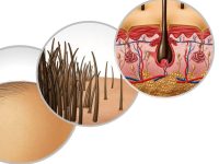 如何使您的头发更黑、更浓密？