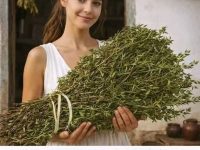 🍀最强大的植物🍀