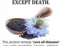 黑籽油被誉为“除了死亡以外，包治百病”