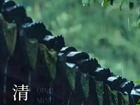 清明节为什么要祭祖扫墓?